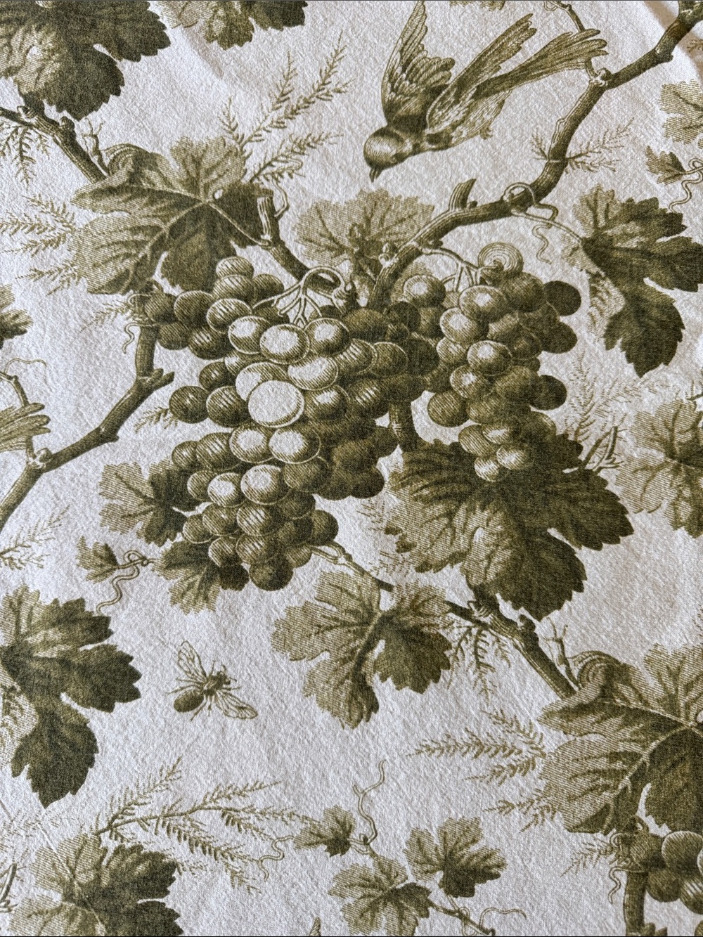 Williams Sonoma Olive Green Toile Vineyard Table Linen